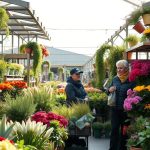 Floristería en Puerto Lumbreras