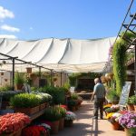 Floristería en Villarrubia de los Ojos